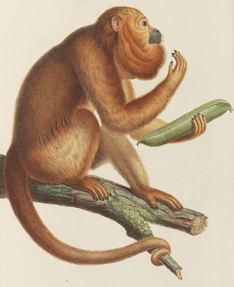 ae371b52472259b67c173411040eeed4